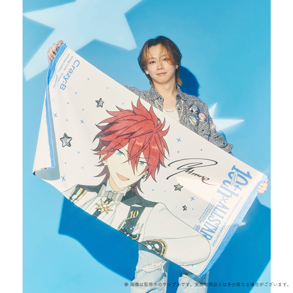ビッグビジュアルタオル 10th Tour Edition（2wink／Knights／MaM