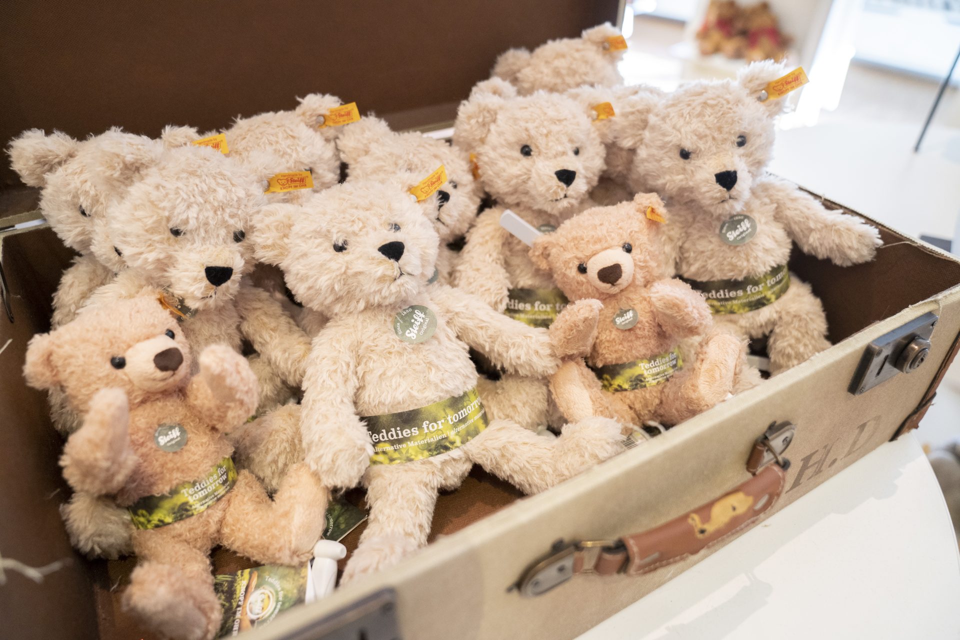 テディベアの故郷〝創業142年〟シュタイフ本社を訪ねた（ギーンゲン