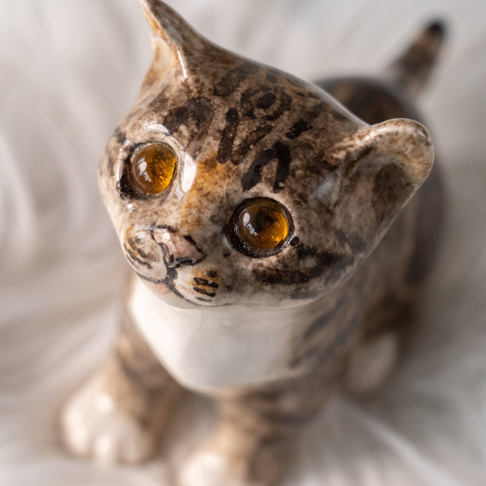 Winstanley Cat ウィンスタンレイ キャット】キラキラした瞳で上を