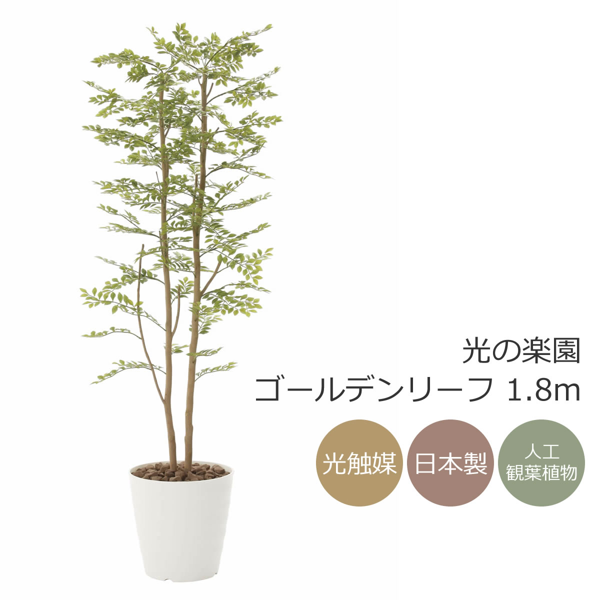 楽天市場】光触媒 光の楽園 トネリコ 1.2m【インテリア フェイク
