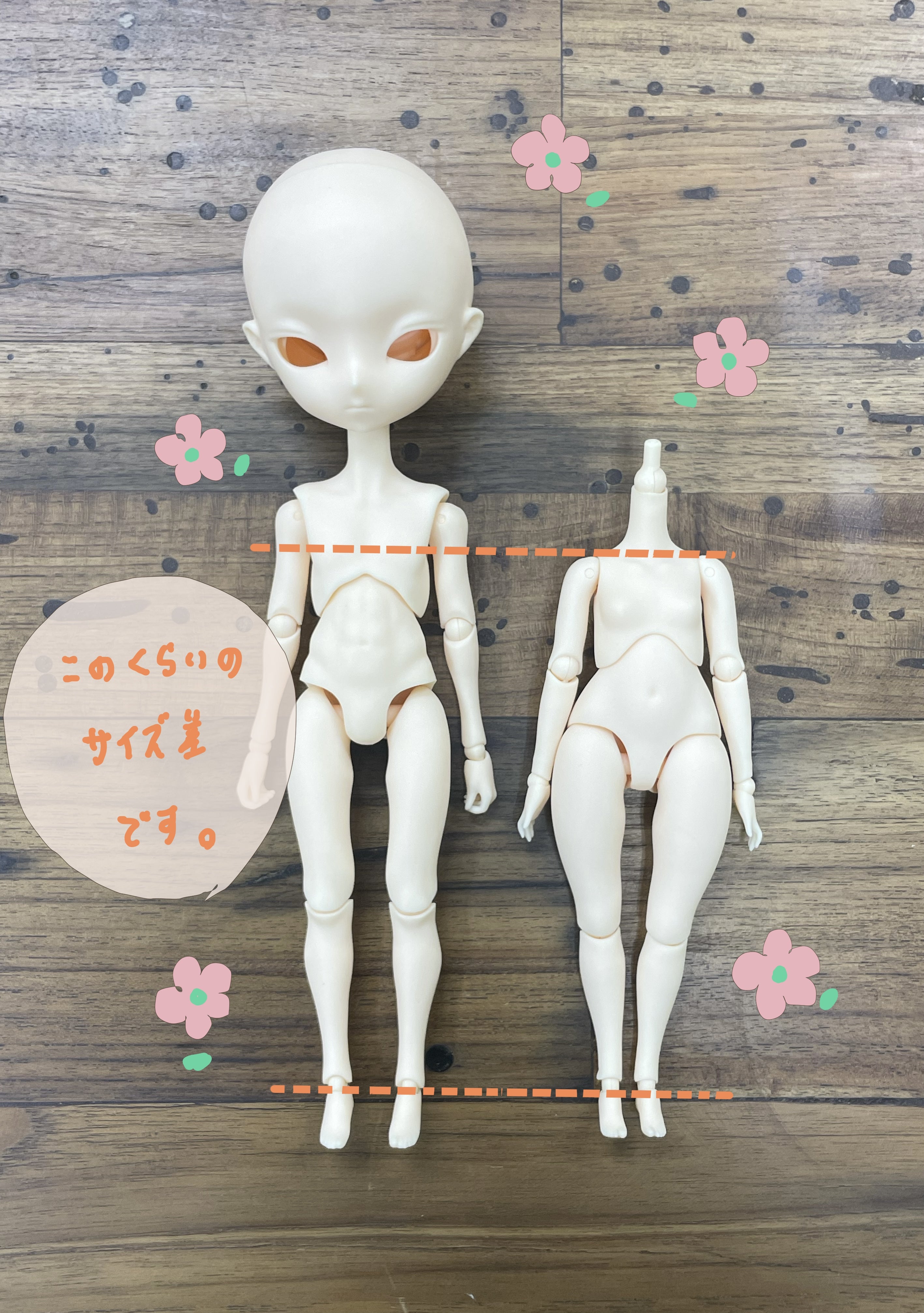 こだわりポイント満載】Harmonia bloom blooming doll root
