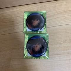 鬼滅の刃 ものがたる眼差し コレクション缶バッジ 冨岡義勇 2点 ②