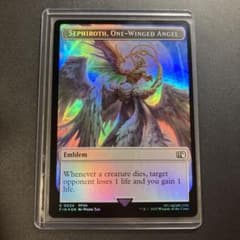 m73888446320_1.jpg?1750259987
