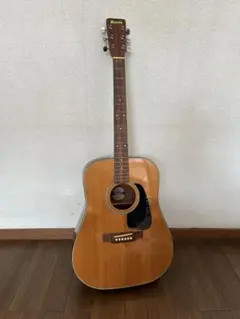 2026年最新】morris MD-502の人気アイテム - メルカリ