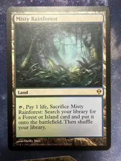 2026年最新】霧深い雨林の人気アイテム - メルカリ