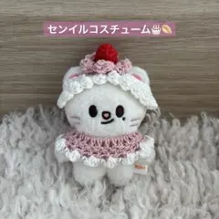 2026年最新】SKzoo 10cm 服 ジニレットの人気アイテム - メルカリ