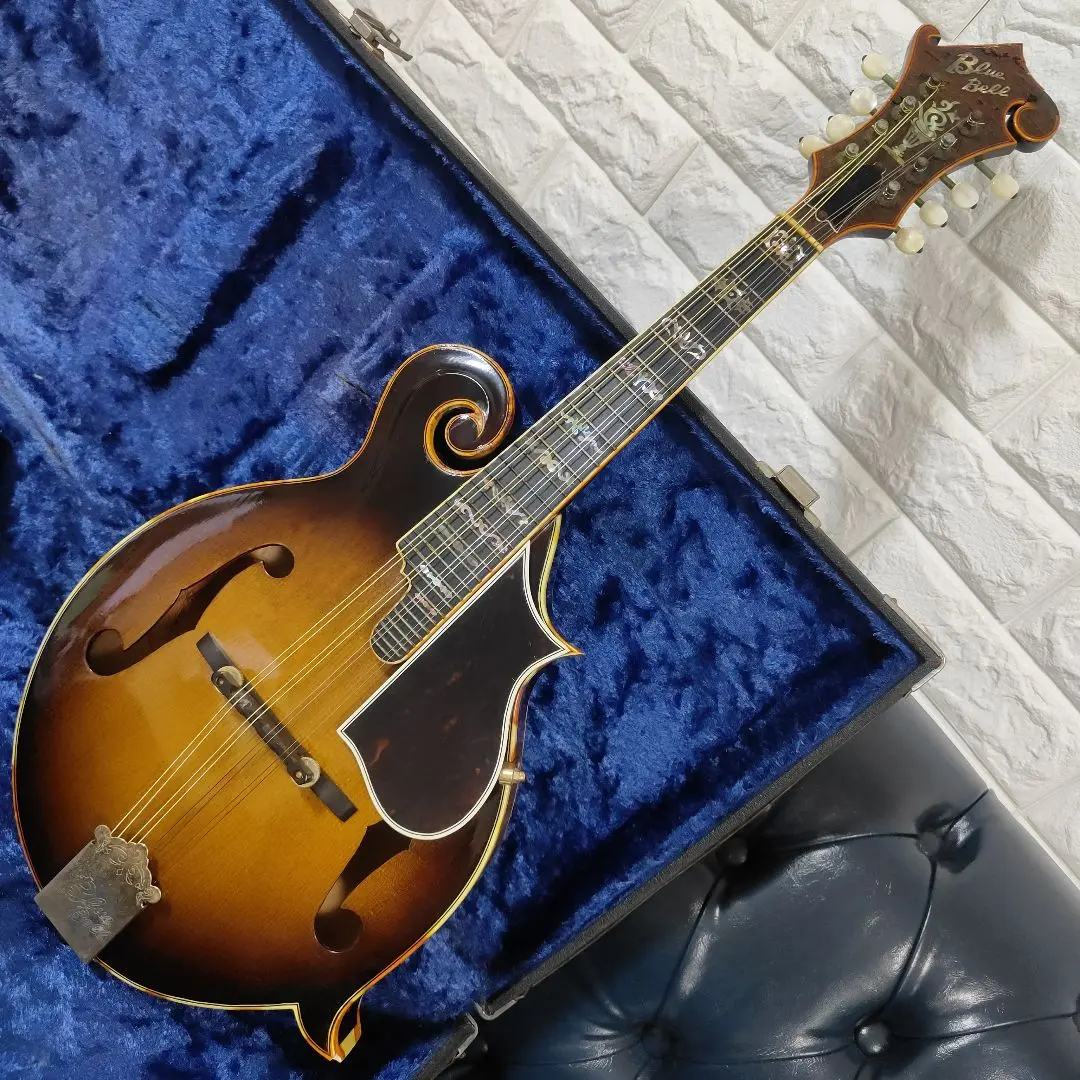 2026年最新】blue bell ギターの人気アイテム - メルカリ