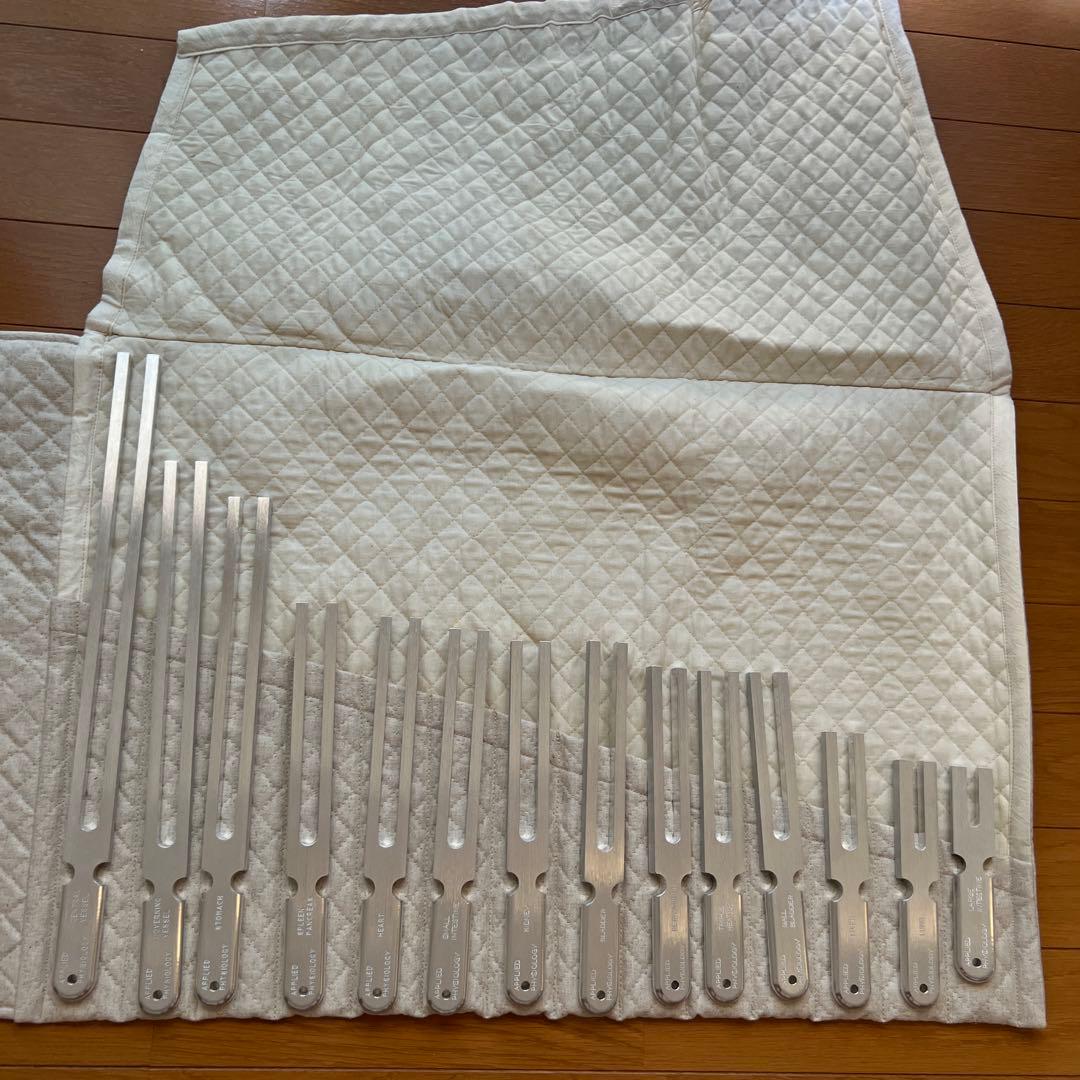 アプライドキネシオロジー　音叉 DOWN4SOUND Hexicone NEO HexiPRO 65 CS65 All SZN - 6.5