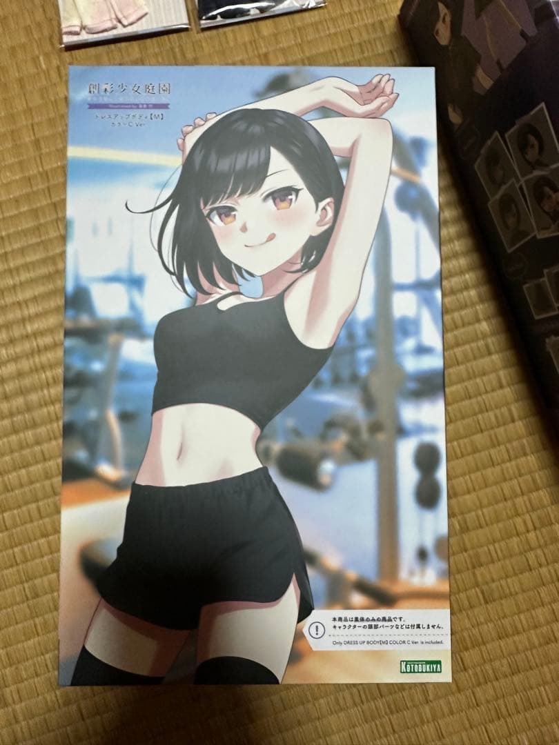 2/1まで出品　美少女プラモデルまとめ売り