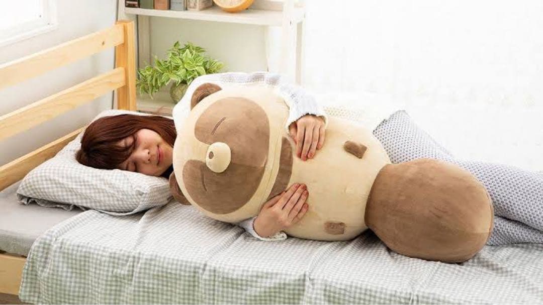 タヌキとキツネ すやすやフレンド クッション・抱き枕 📢ご予約受付中！ 「タヌキとキツネ」すやすやフレンド 超ビッグサイズ