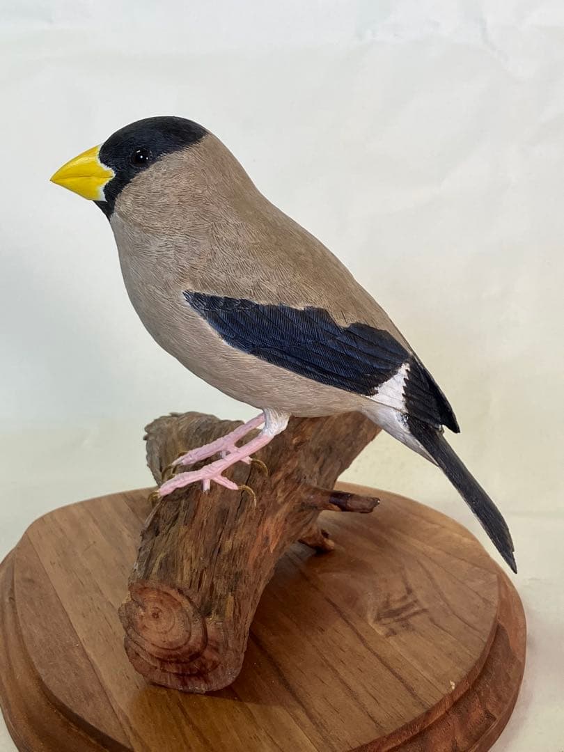バードカービング木製鳥の彫刻(イカル) 鳥の彫刻 バードカービング｜大阪産経学園｜阪急ターミナルビル、阪急