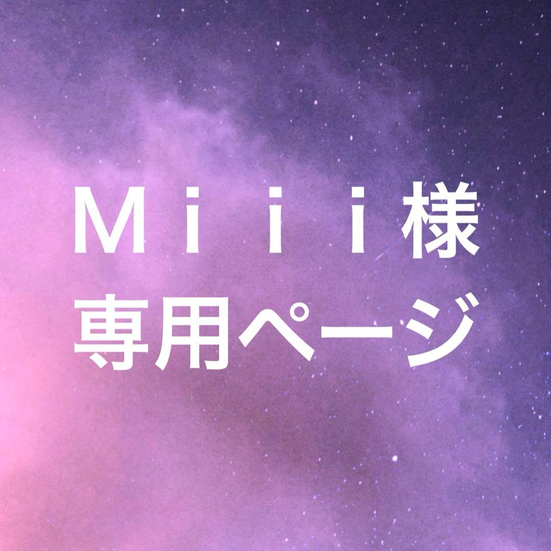 Ｍｉｉｉページ PRO-ZXI 6.5
