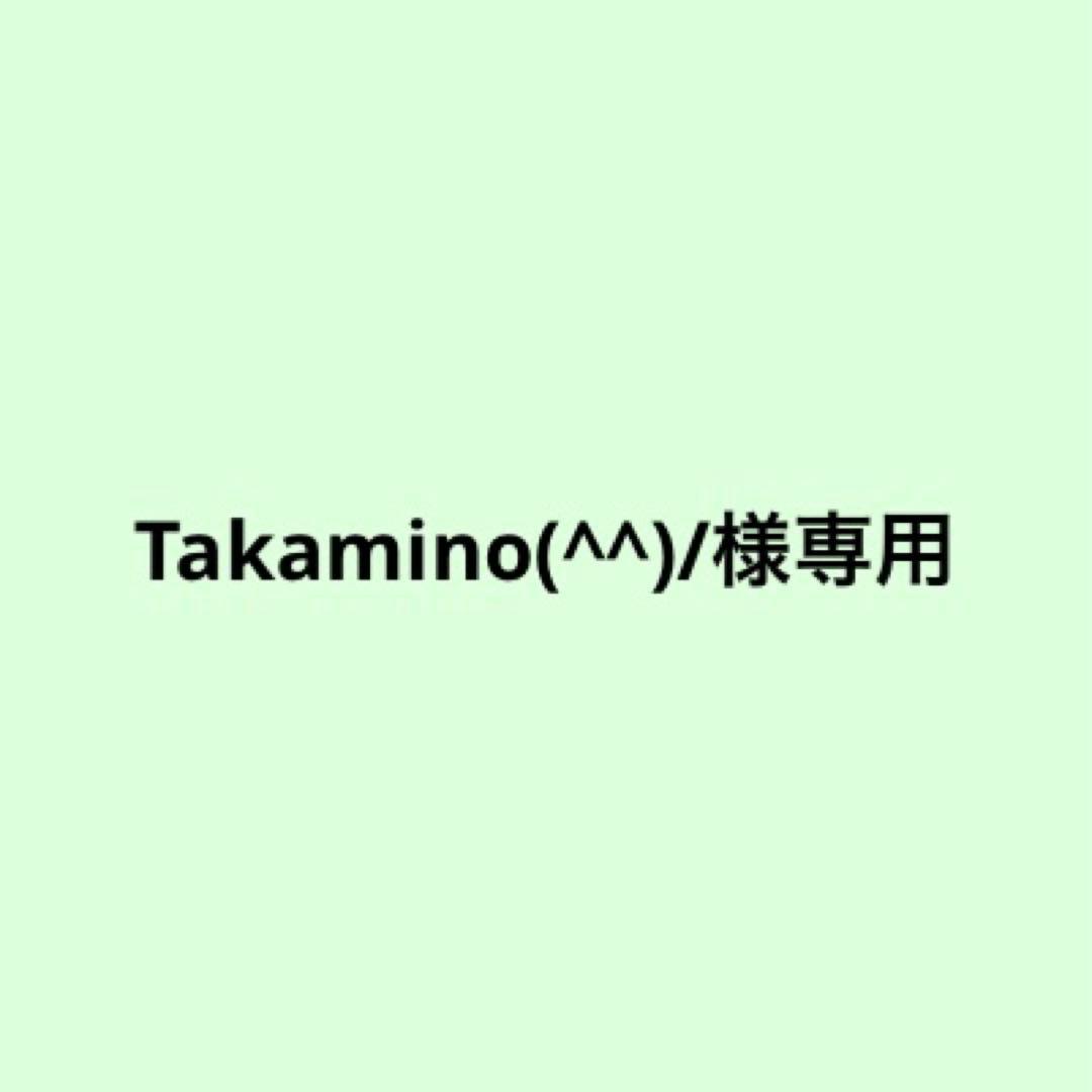 ヘアブラシ・コーム Takamino(^^)/ フラットヘア デタングルコーム クロムメッキ SHOBIDO 静電気 防止