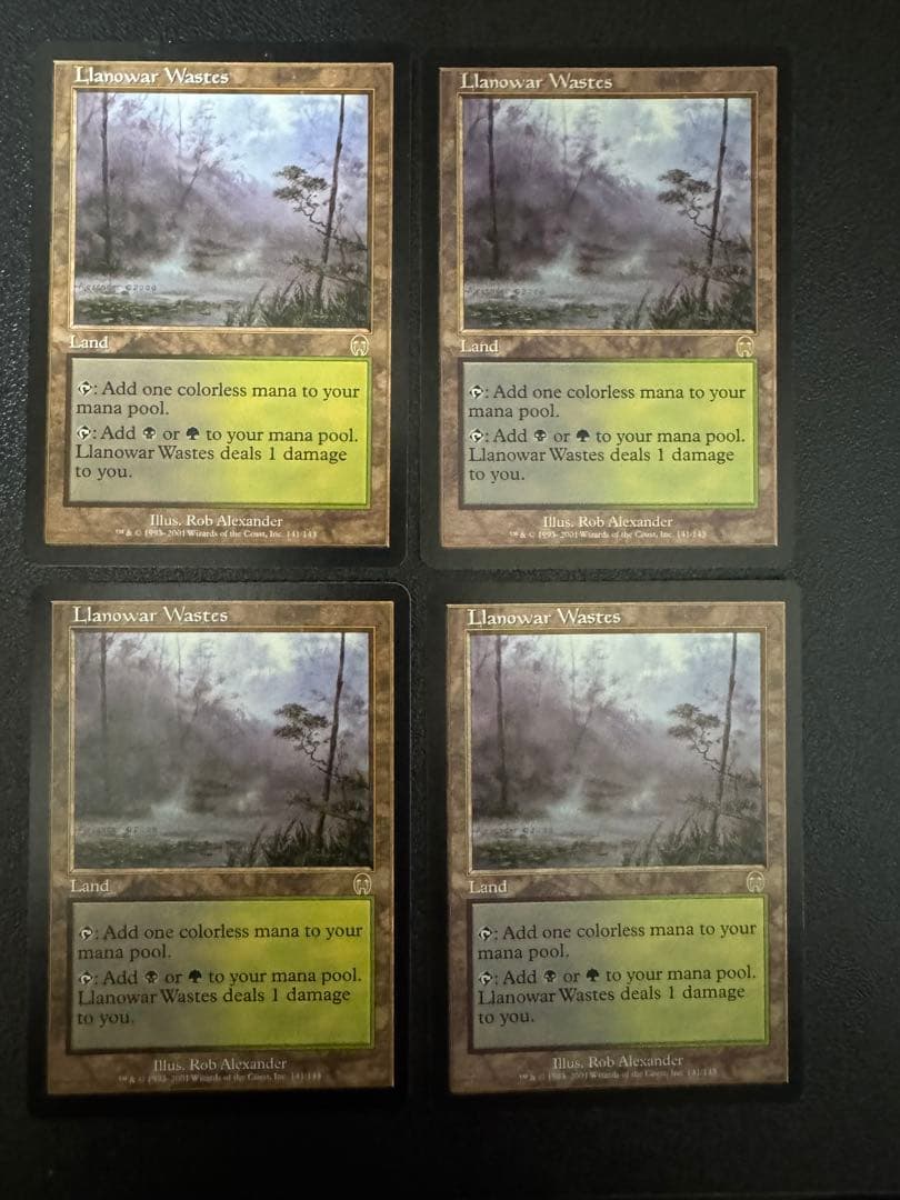 【MTG】ラノワールの荒原/Llanowar Wastes 4枚セット 451476_in_1000x1000.jpg