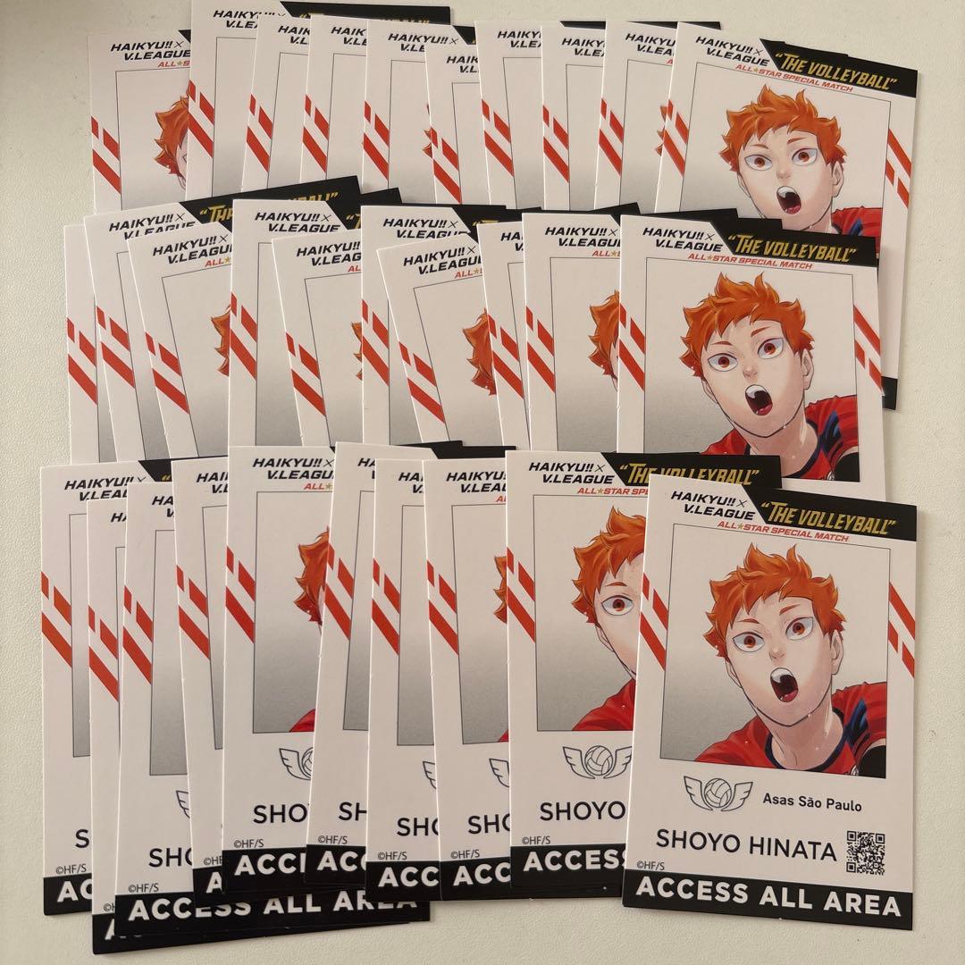 ハイキュー Vリーグ　IDイメージカード 日向翔陽 30枚セット ハイキュー ステータスカードコレクション シークレット 2種 Vリーグ