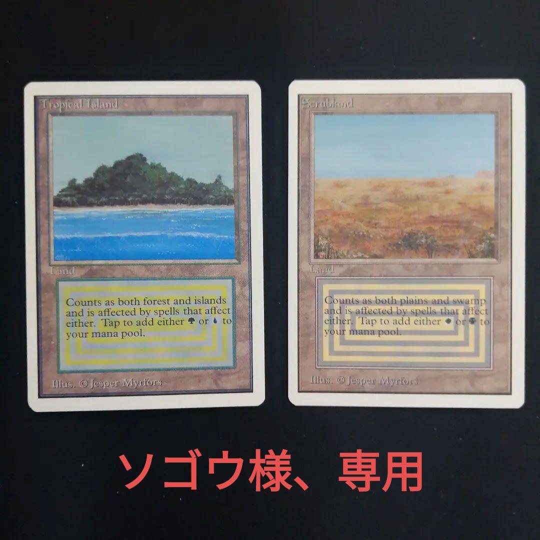 ●【貴重】【裏面訳アリ】Tropical 　２ED　英語１枚 Tropical Teabags, Tropical Medley Black Tea