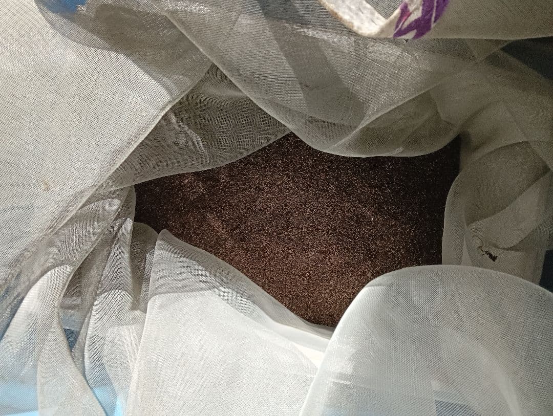 エゴマの実5キロ 楽天市場】えごま 実の通販