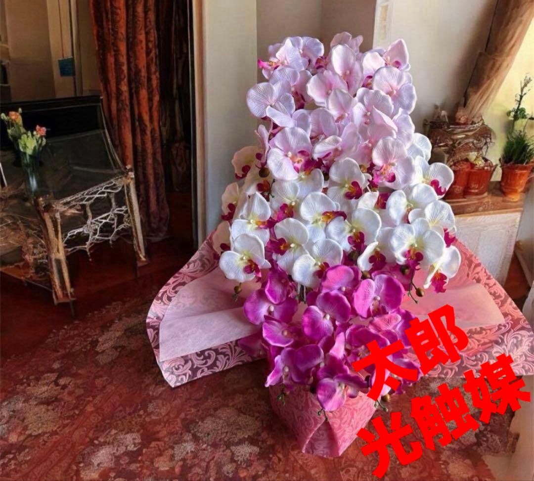 光触媒　人工観葉植物　ウォールグリーン　フェイクグリーン　胡蝶蘭8250tp 楽天市場】光触媒 胡蝶蘭 造花 フラワーアレンジメント フェイク