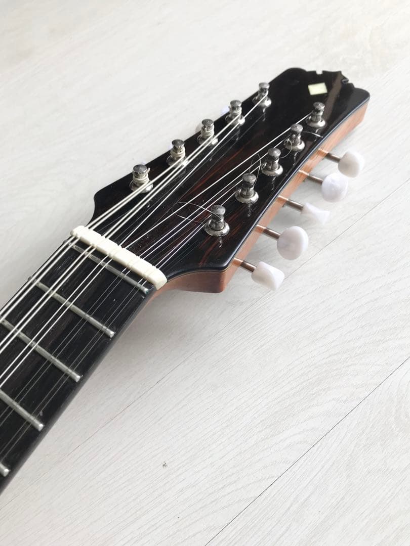 10弦バンドリン(マンドリン) - メルカリ