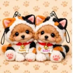 ☆受付☆トイプードル No.A トイプードル 【2024年8月16日生まれ・女の子】①-1 – DOLLz【ドールズ