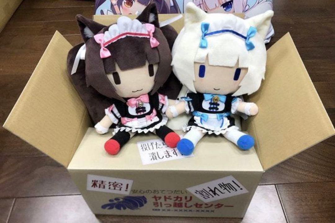 ネコぱら ショコラ バニラ ぬいぐるみ 輸送箱付き ちょこぷに ぬいぐるみ ネコぱら セカイコネクト ショコラ