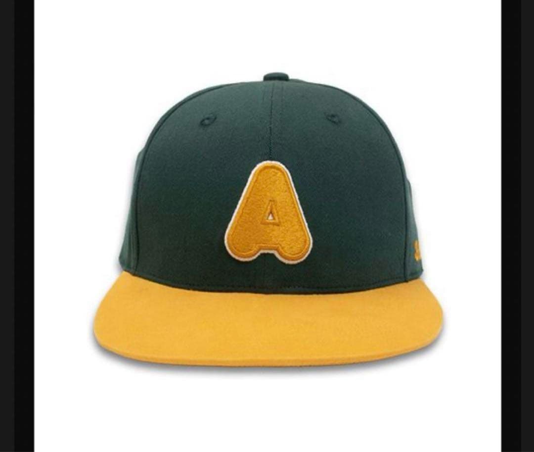 あいみょん サーチライト⁡ キャップ　甲子園 あいみょん、阪神甲子園球場での弾き語りワンマン公演で4万5000人を