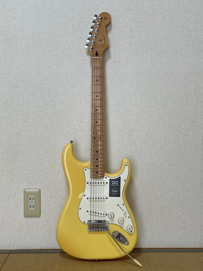 ギター Fender Player Series Stratocaster Maple 入荷〉Fender LTD Player Stratocaster Roasted Maple Neck 【島村楽器