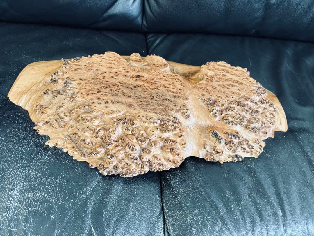 自然木の形状 大きめの木製置物 ５０cm 欅ケヤキ 激安大安売り 天然木 東京 新宿 東五軒町店展示 欅（けやき・ケヤキ）材 一枚板