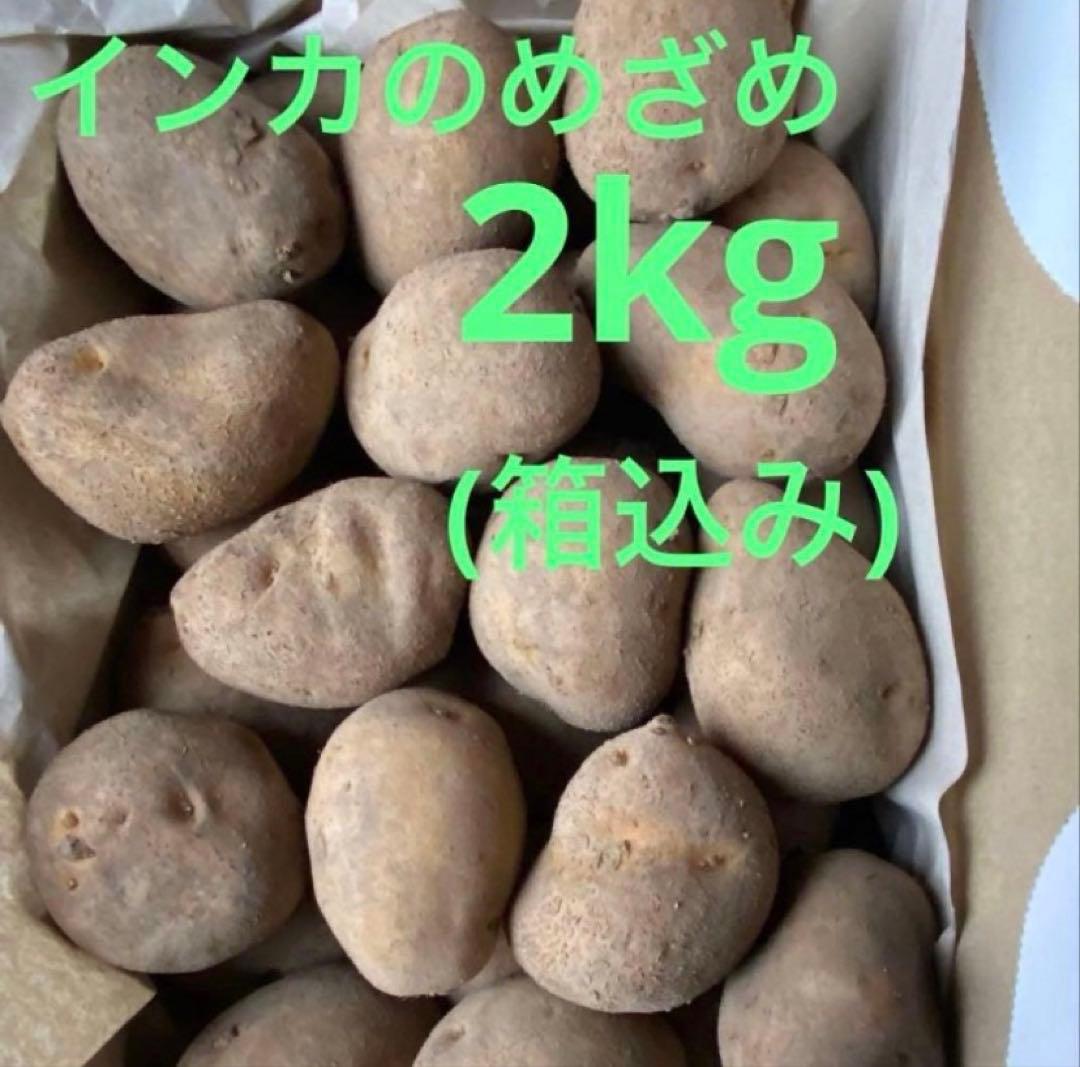 ELLY 10 kg 種芋 ジャガイモ 楽天市場】＼売り尽くし／じゃがいも 種芋 10kg 送料無料 マツコの知ら