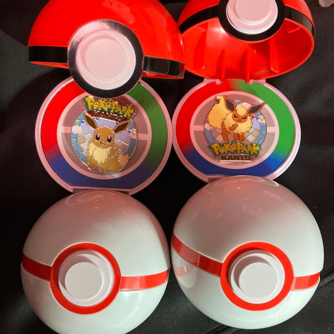 ポケパークカントー ピンズ ピンバッジ ピンバッジ イーブイ