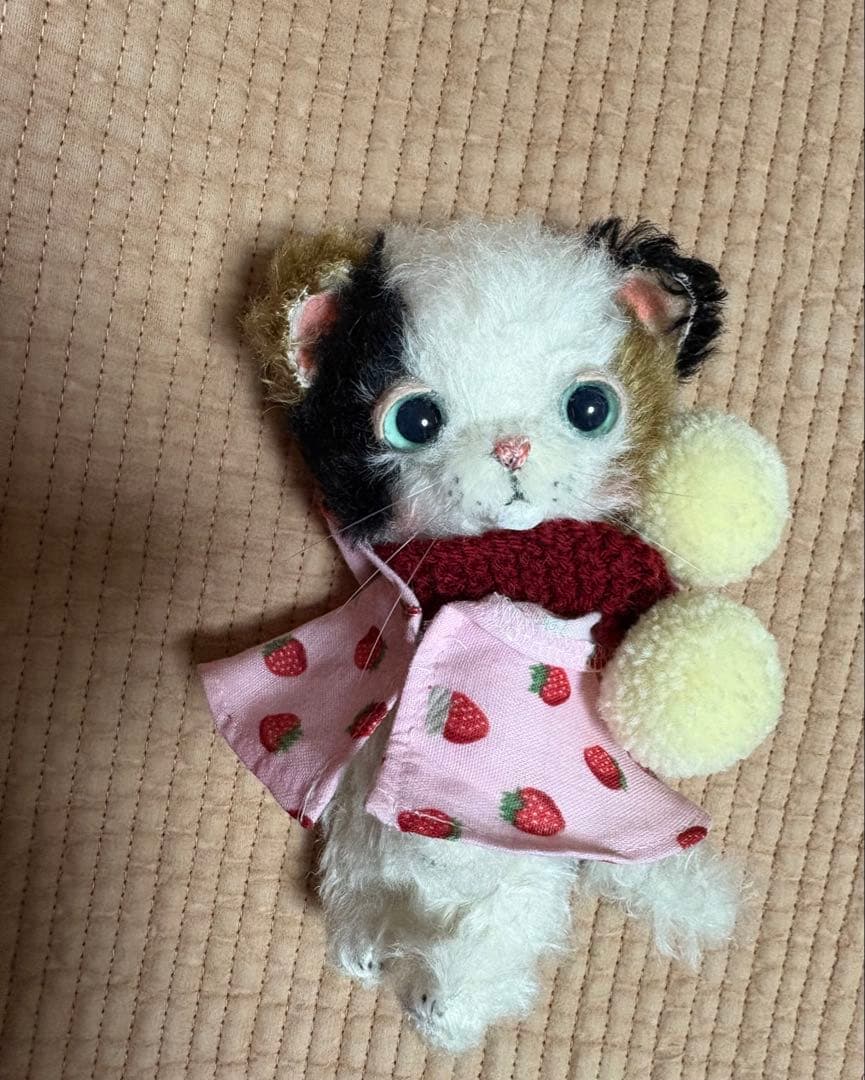 新品、hacodeco、三毛猫チャン♡ よもの分身ニャの？🐈 こちらは @make_air_calm さんの三毛猫ちゃんを