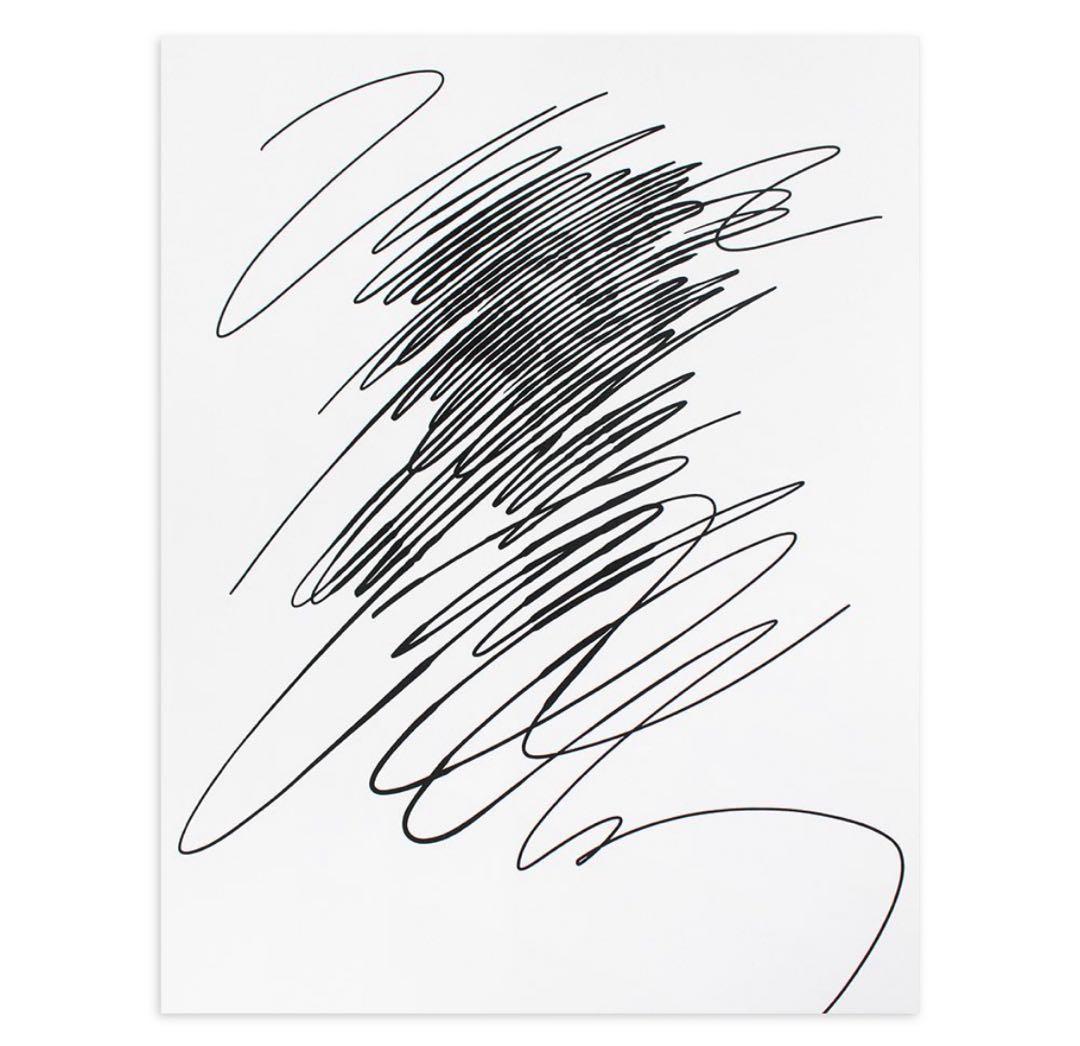 究*杯様 AICON シルクスクリーン 額装済み 希少 入手困難品 】新品未使用 AICON 20部限定販売アート シルク