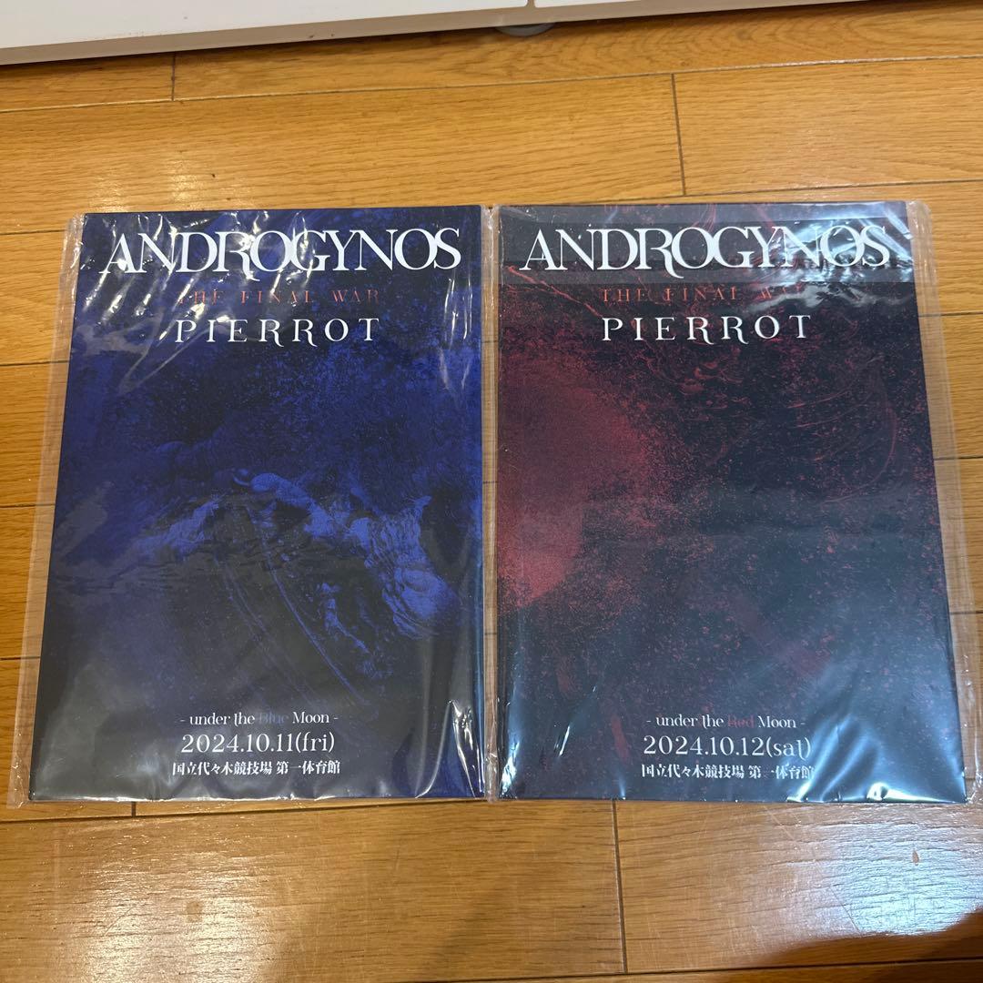 ANDROGYNOS パンフレット2冊セット 2026年最新】アンドロジナス パンフレットの人気アイテム - メルカリ