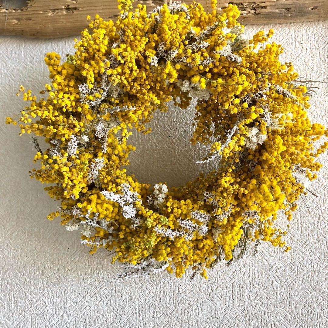 ミモザリース　ミモザ 2026年2月ミモザのワークショップのご案内。 ①「ミモザ丸リース」 ②