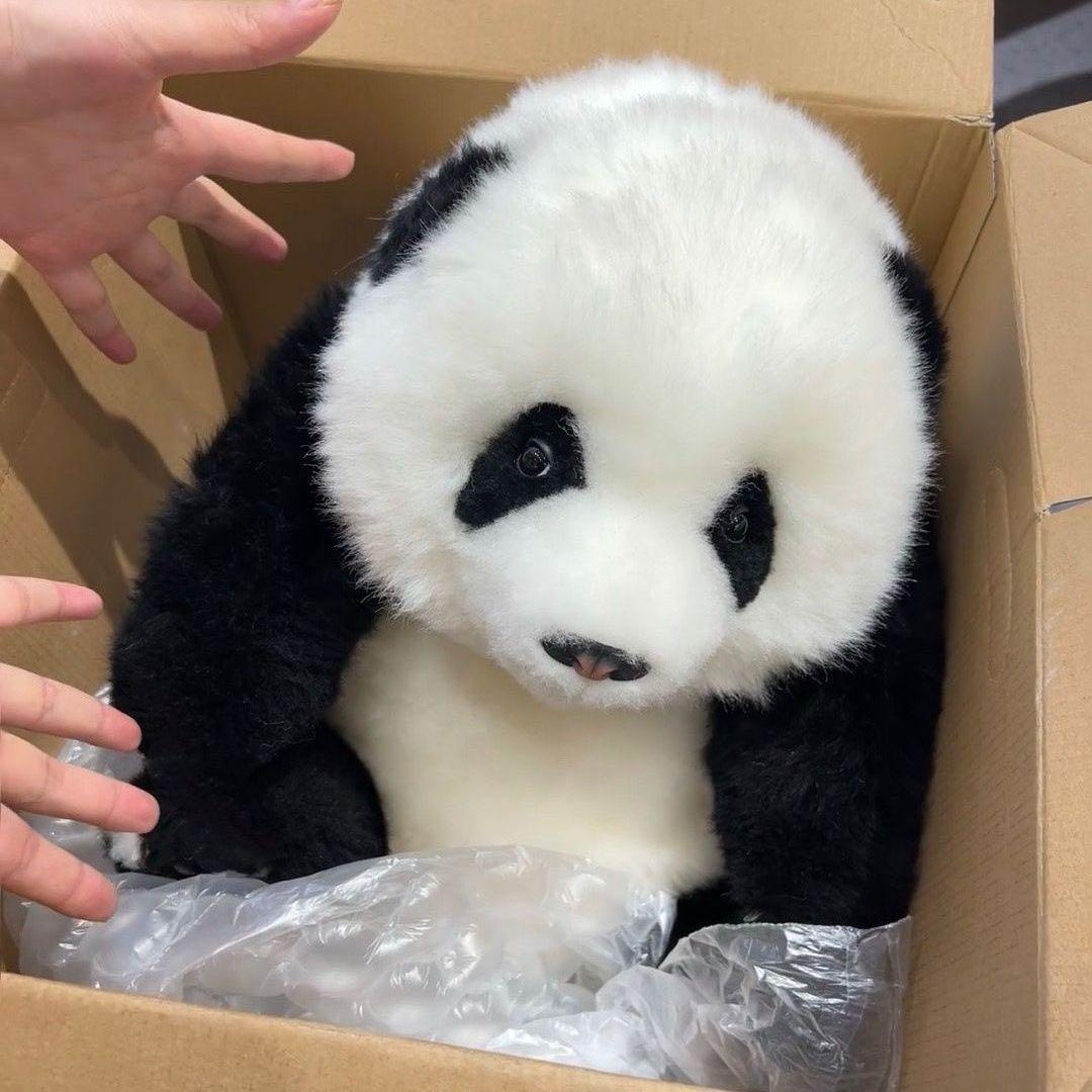 パンダぬいぐるみ San-X（サンエックス） たれぱんだ ぬいぐるみ あのころのともだち