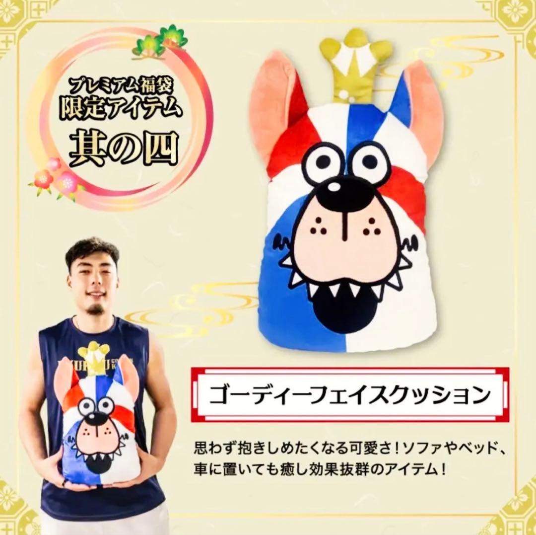 【限定】琉球ゴールデンキングス　ゴーディーフェイスクッション 大人気の「ゴーディーもちもちクッション」がアリーナショップと